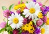 Flowers_Bouquet1