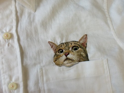 рубашка с котом в кармане